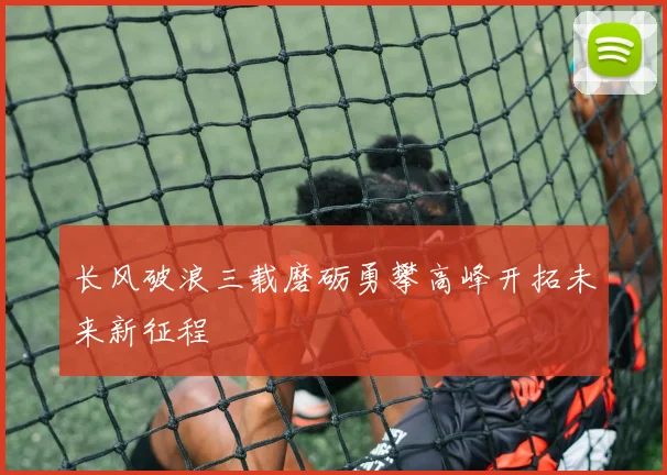 长风破浪三载磨砺勇攀高峰开拓未来新征程